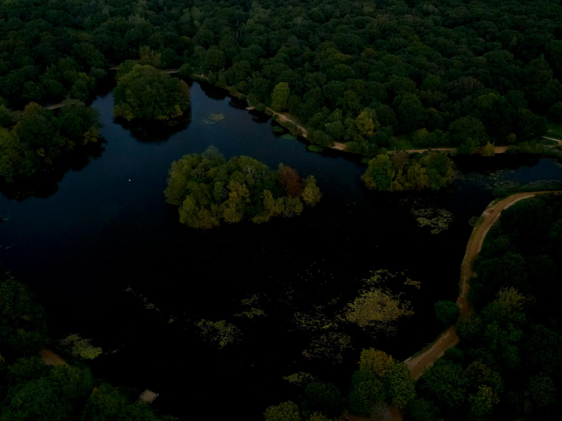 An aerial view of a quiet pond and river bend surrounded by dense green hardwood forest